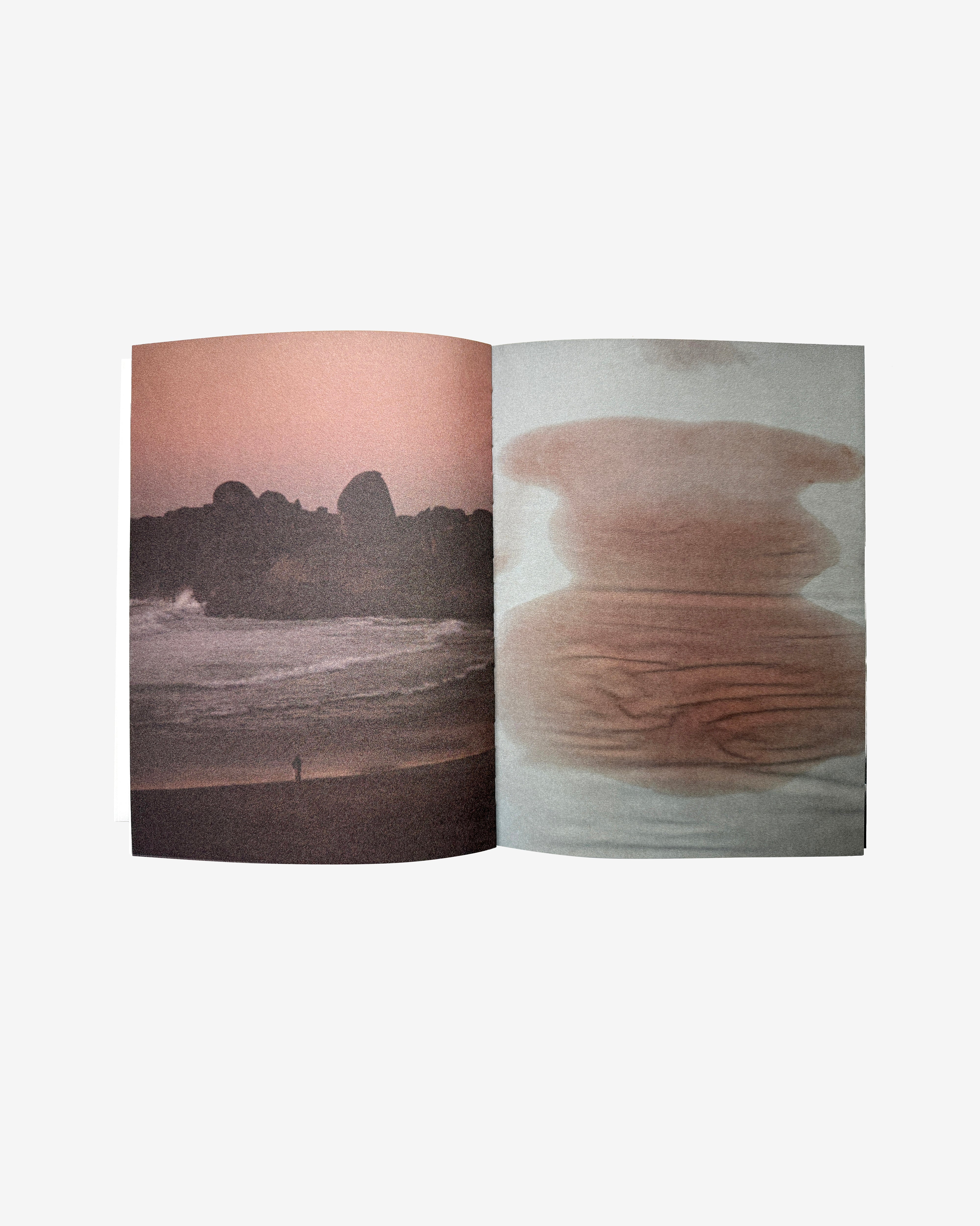 Idea: Purienne Zen Book (Multi) | DSMNY E-SHOP