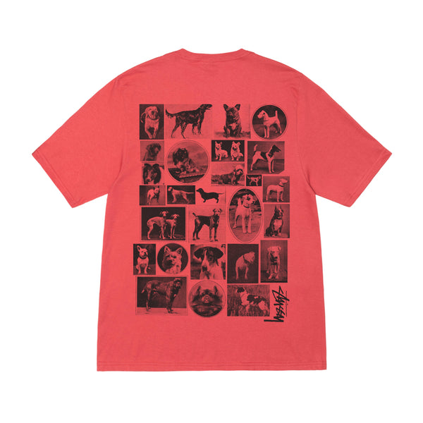 Stüssy - Dog Collage Tee - (Pepper)
