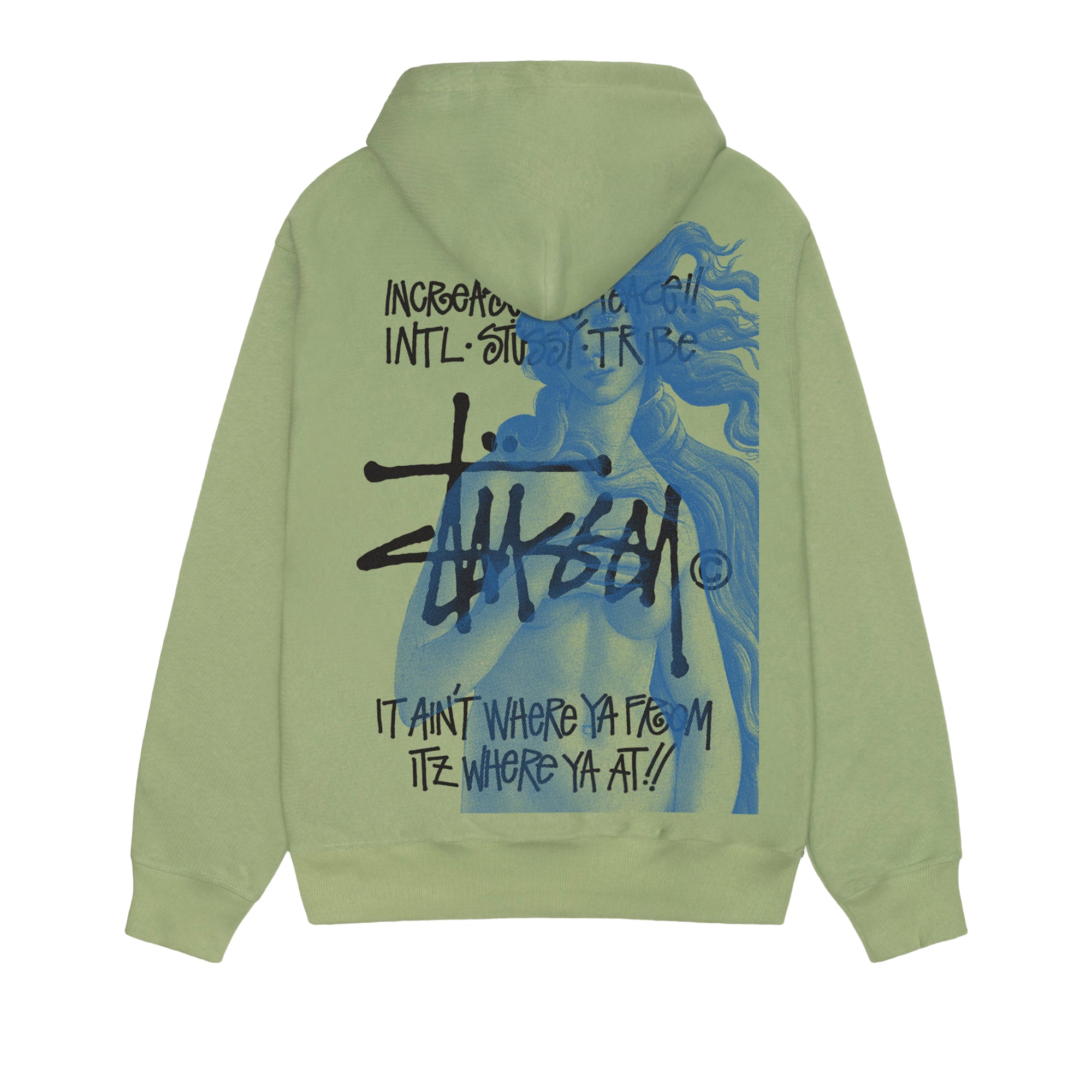 Hood Stussy Felpa Azzurra Cappuccio Felpa Stussy Femminile Stussy