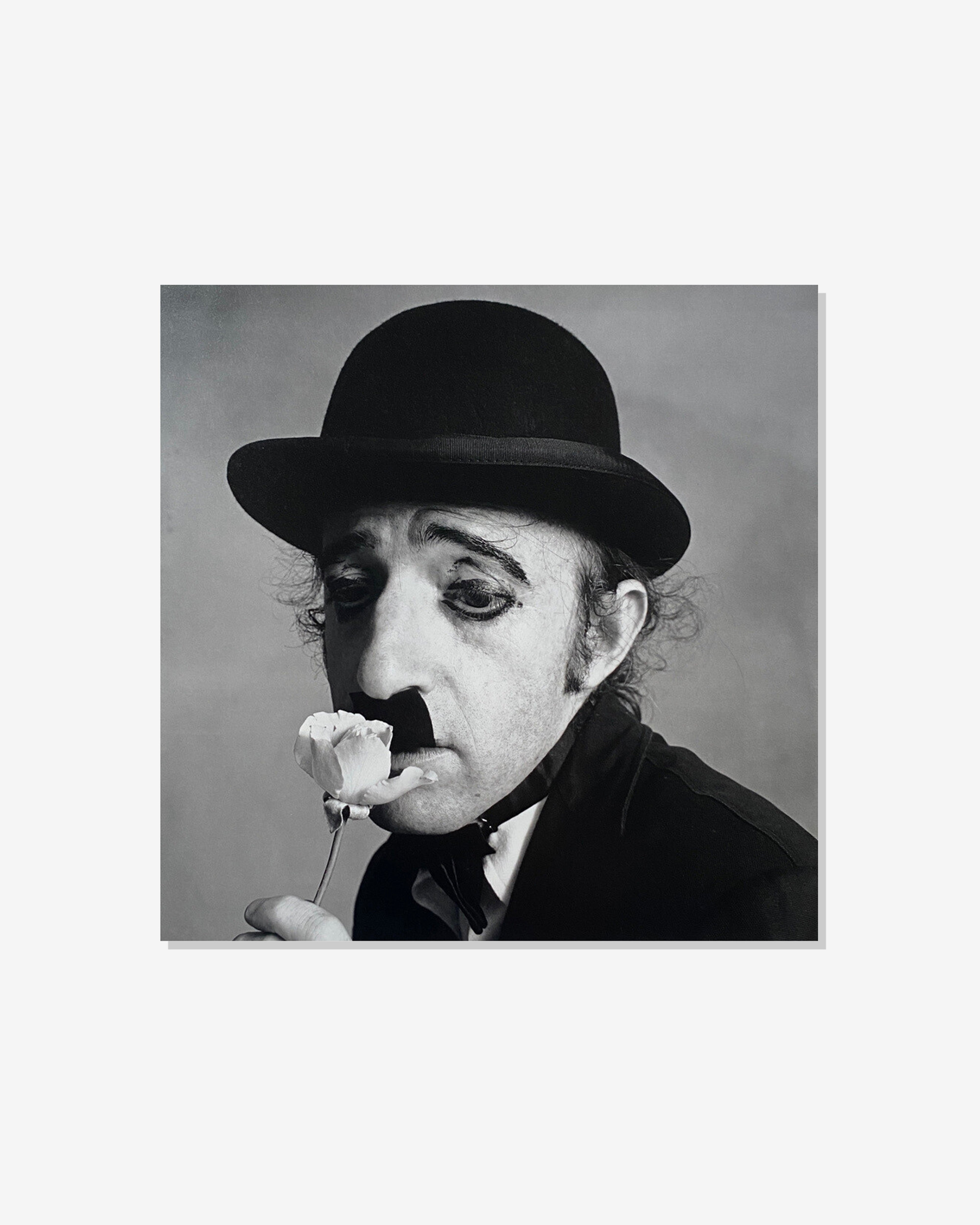 Idea: Irving Penn Passage (Multi) | DSMNY E-SHOP