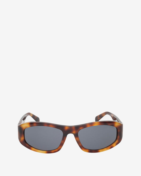 Stüssy -  Landon Sunglasses - (Tortoise/Black)