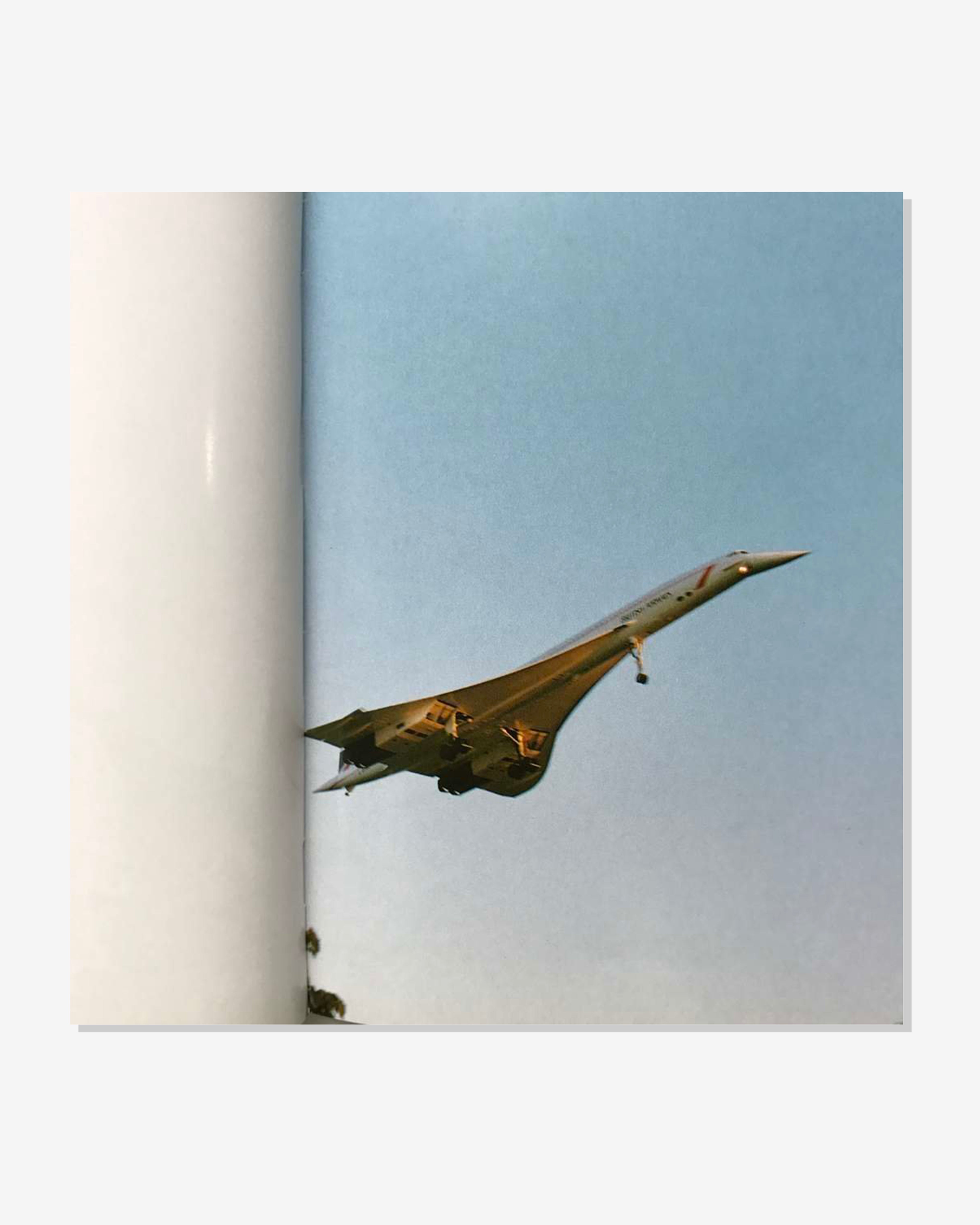 Idea: Wolfgang Tillmans Concorde (Multi) | DSMNY E-SHOP