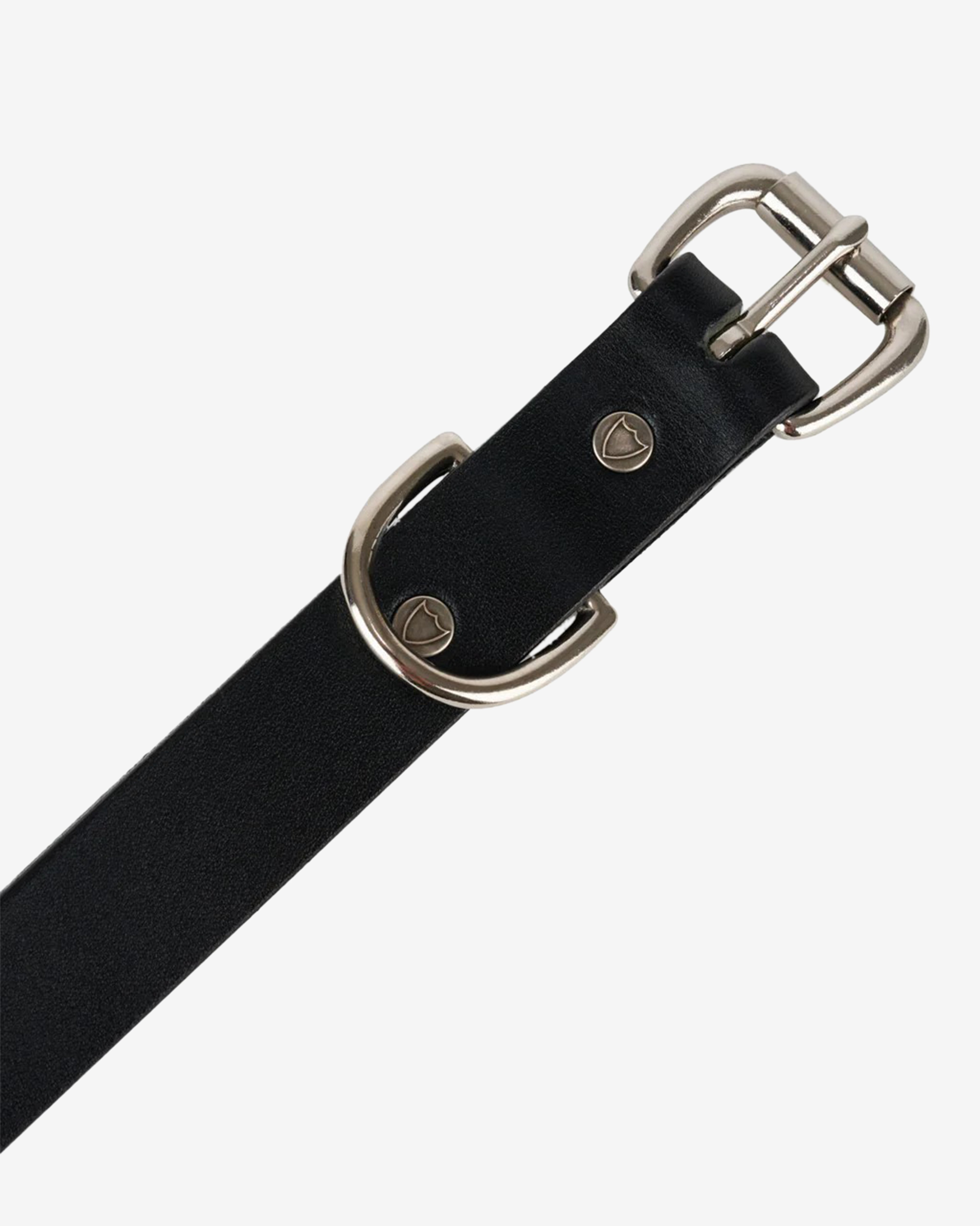 『Hollywood BELT 34 BLACK』 Brain Dead x Hollywood Trading Co.: Men's Studded Skinny Belt