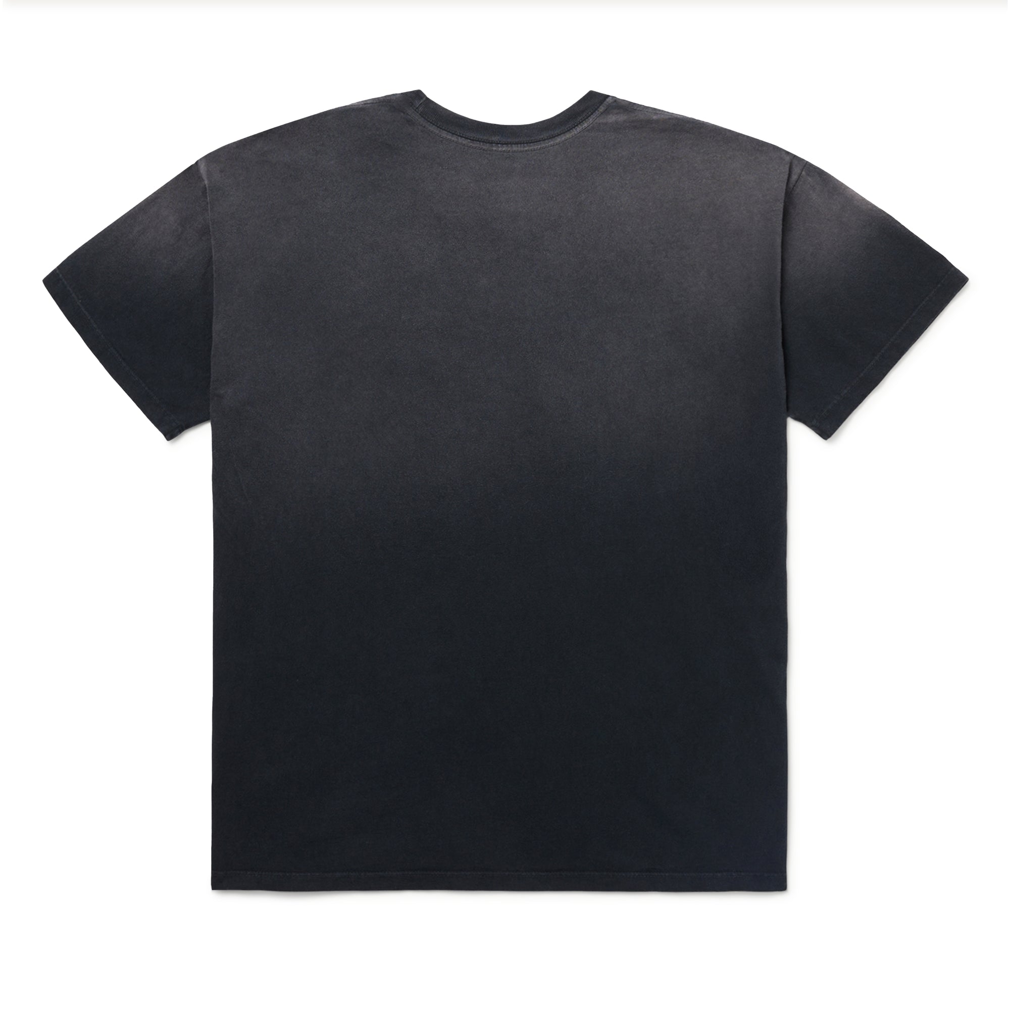 One of These Days - Burning Landscape Tee - (Black) view 2