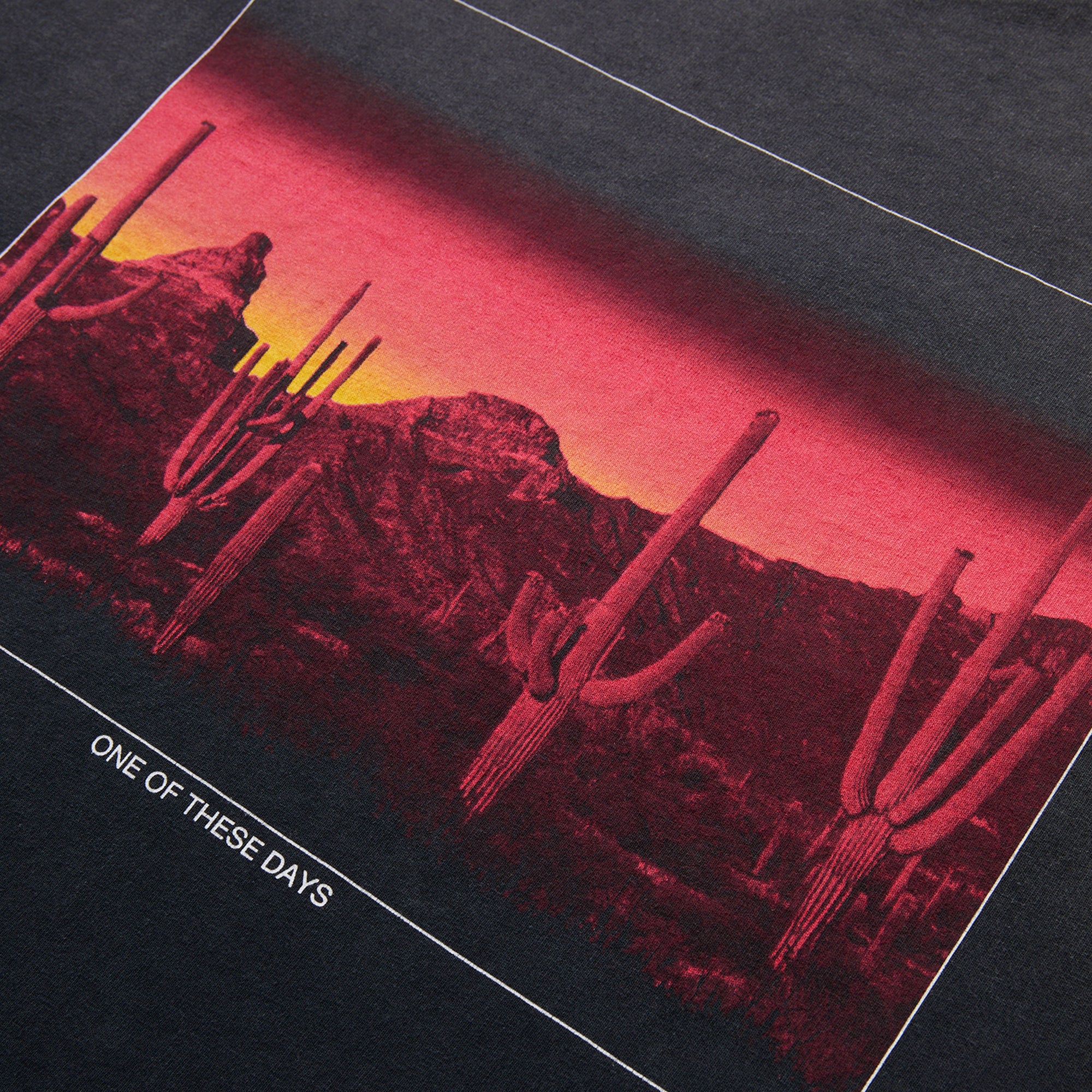 One of These Days - Burning Landscape Tee - (Black) view 3
