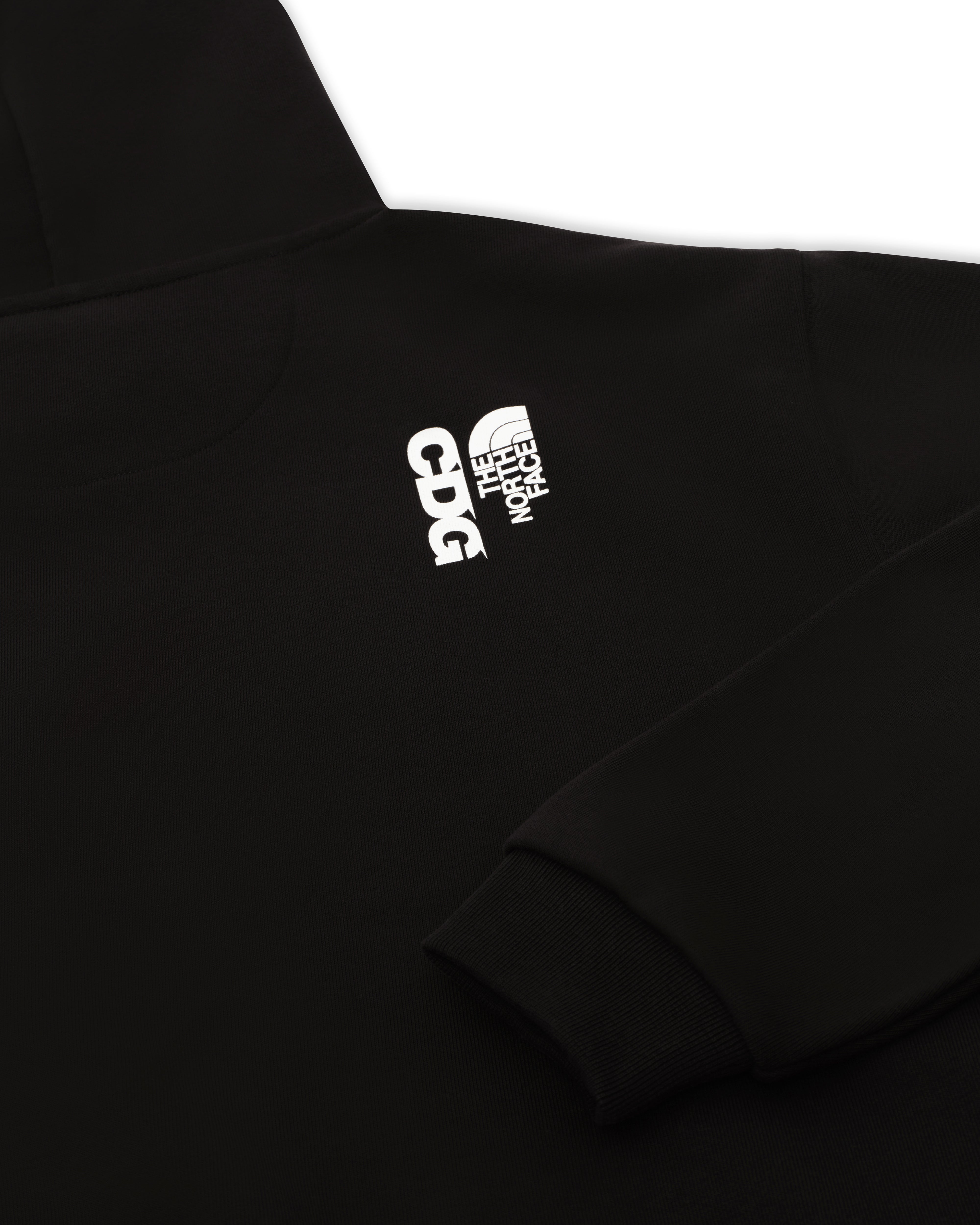 CDG X THE NORTH FACE | DSMNY E-SHOP