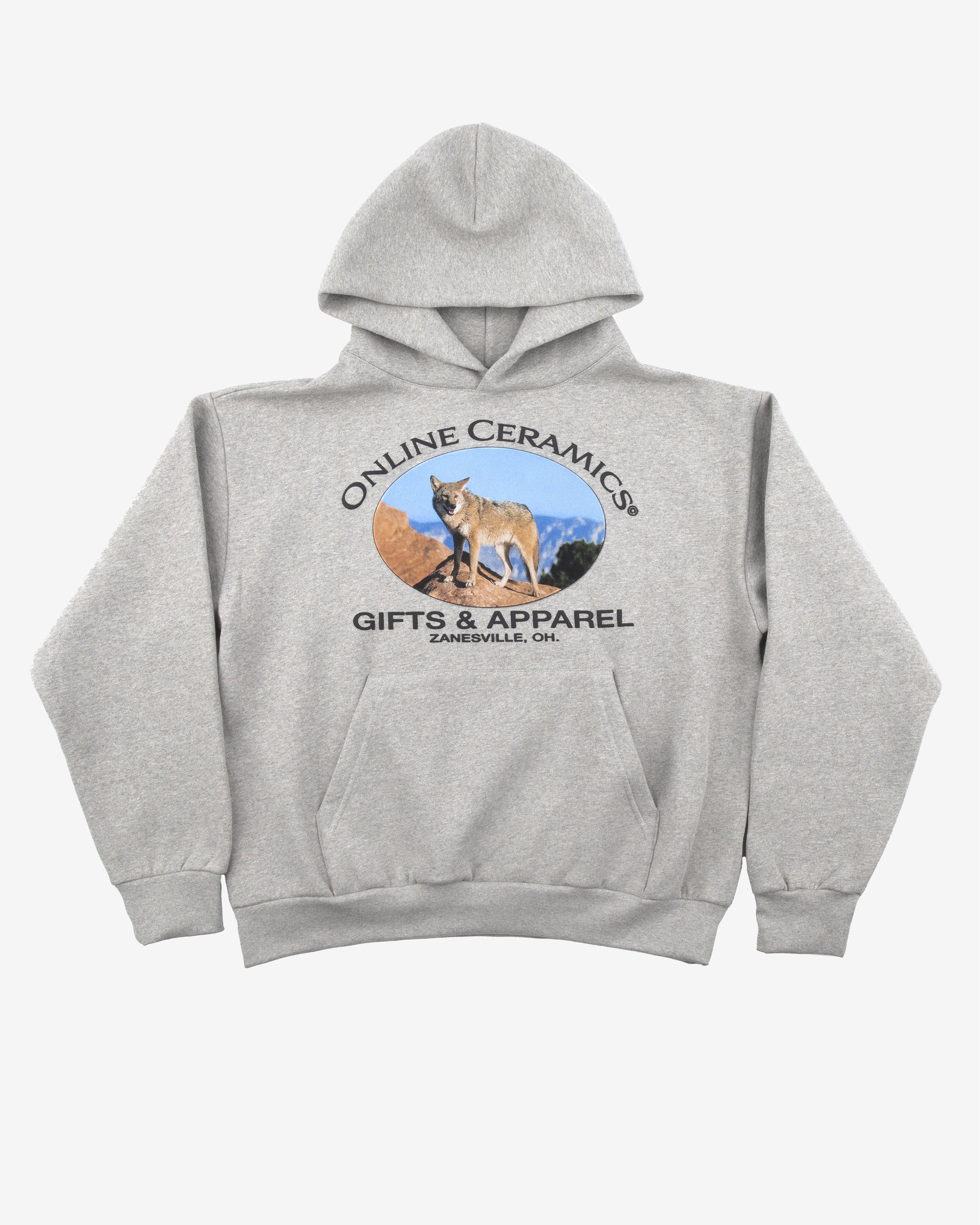 Online Ceramics: Men's Coyote Hoodie (Grey) | DSMNY E-SHOP
