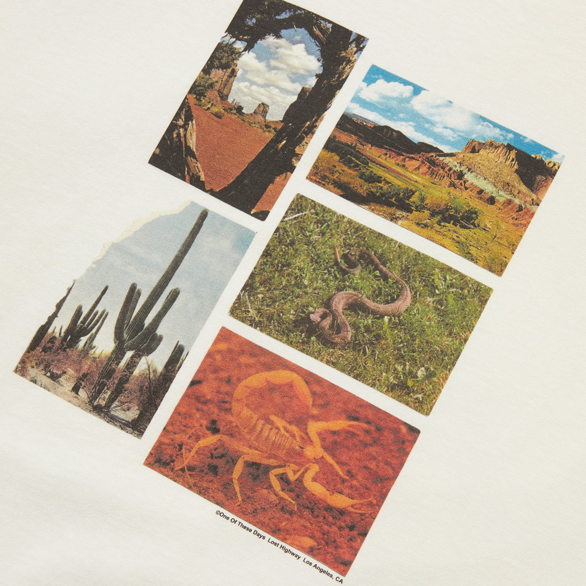 One of These Days - Lost Highway Tee - (Bone) view 2