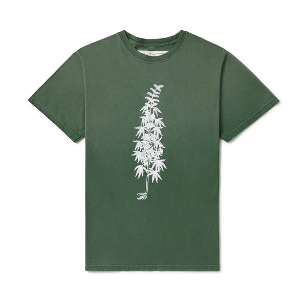 One Of These Days - Men's More Peace More Freedom T-Shirt - (Wash Green)
