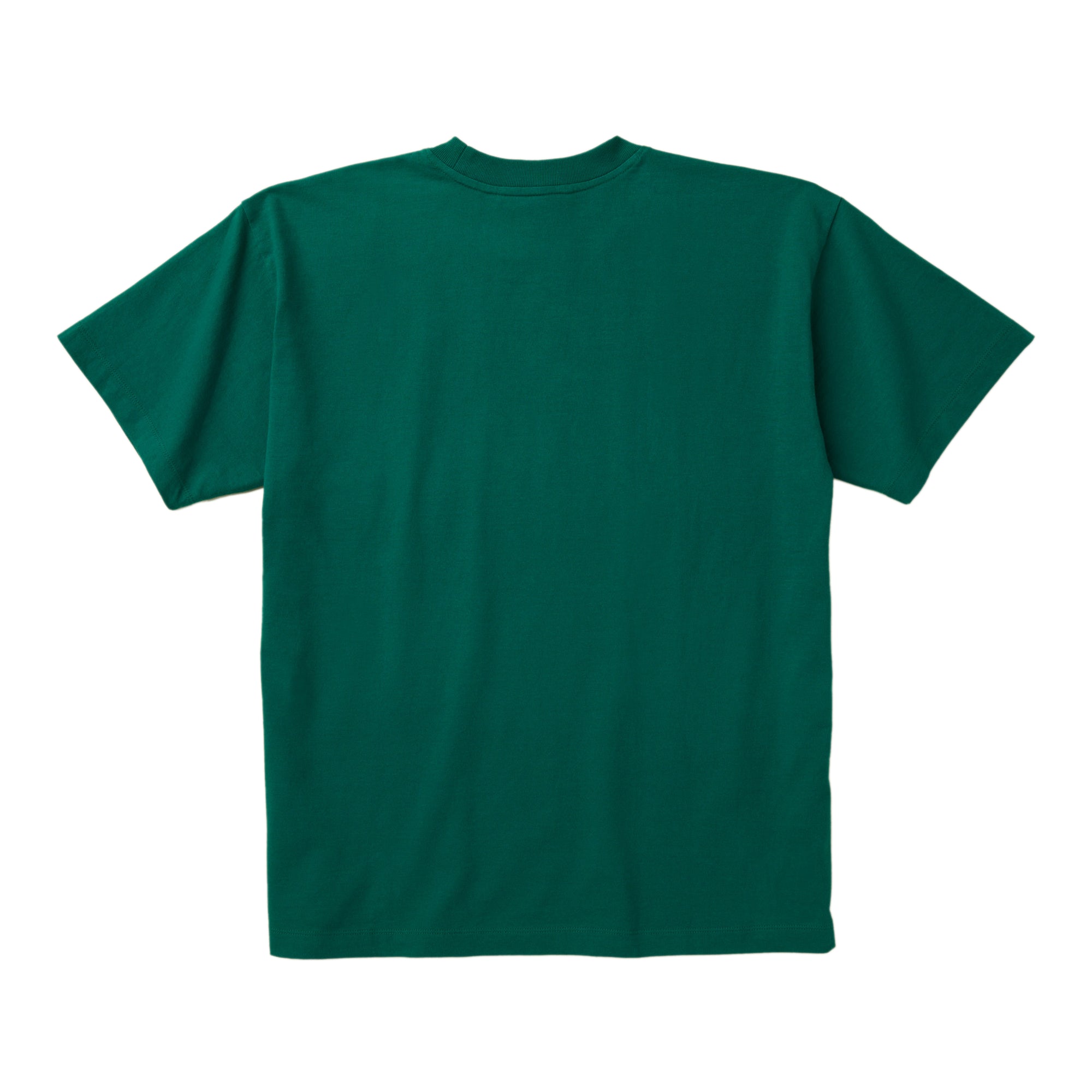 The North Face - Online Ceramics Men's T-Shirt - (Forest Fern) view 2