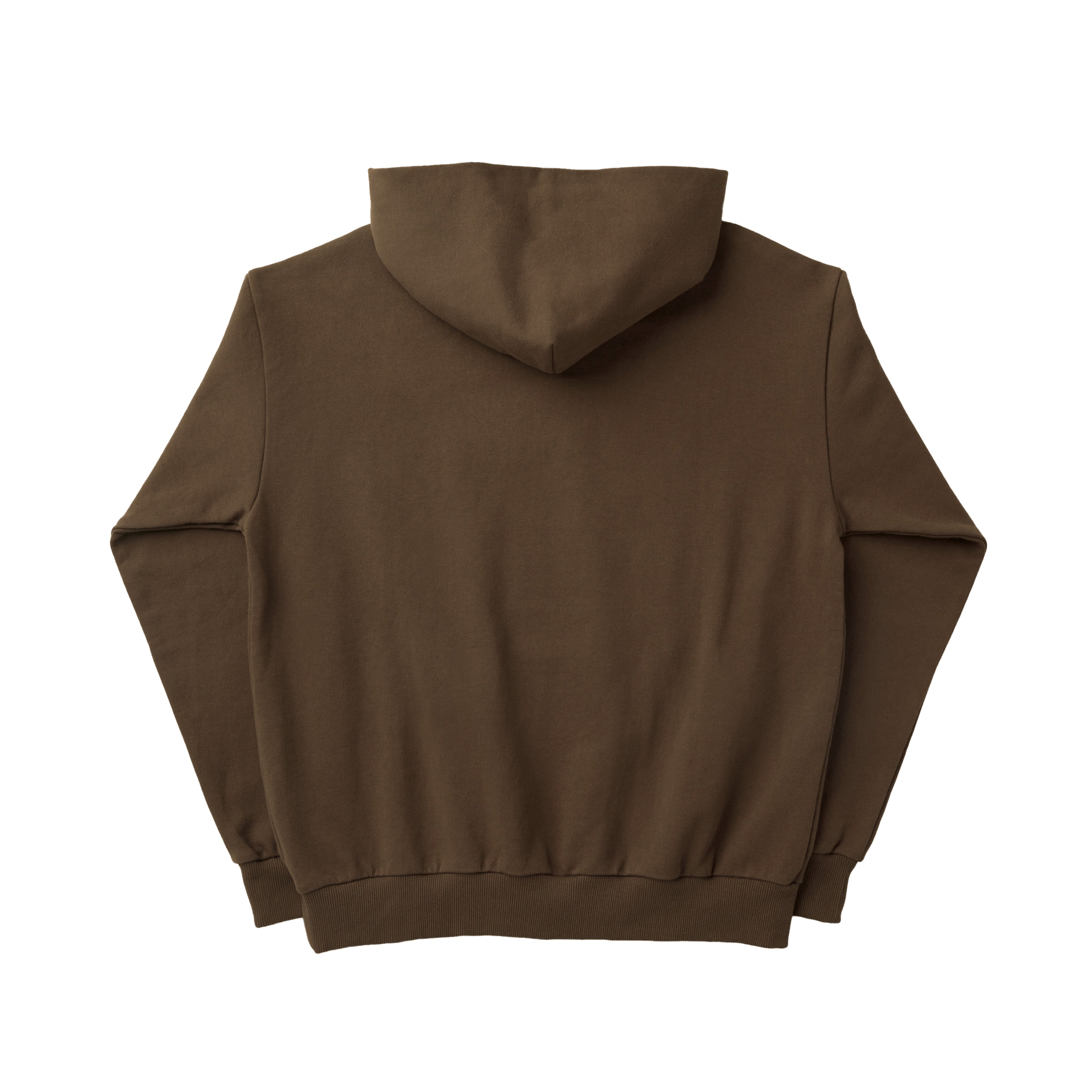 The North Face - Online Ceramics Men's Pull Over Hoodie - (Earth