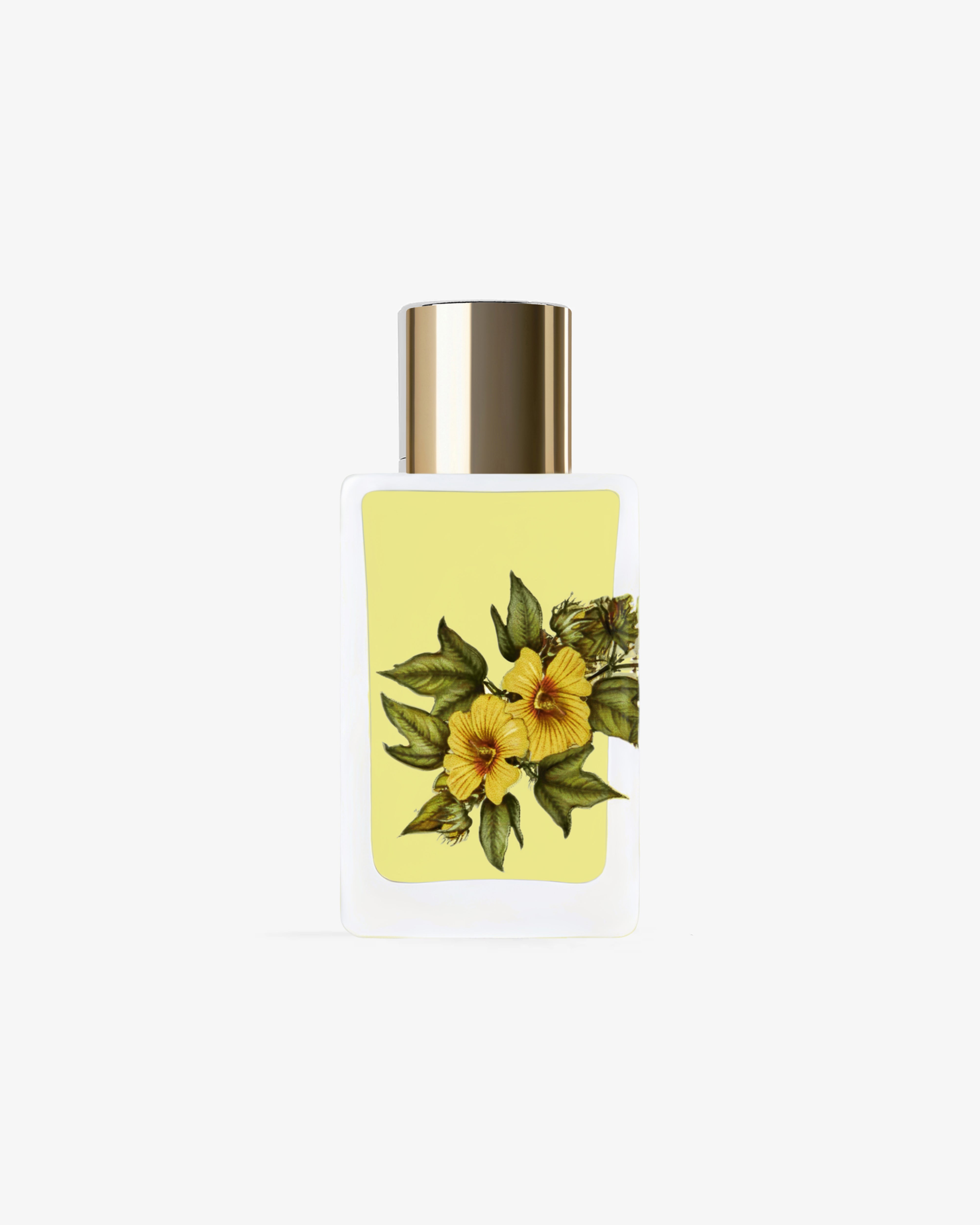 COMME DES GARÇONS Parfums | DSMNY E-SHOP