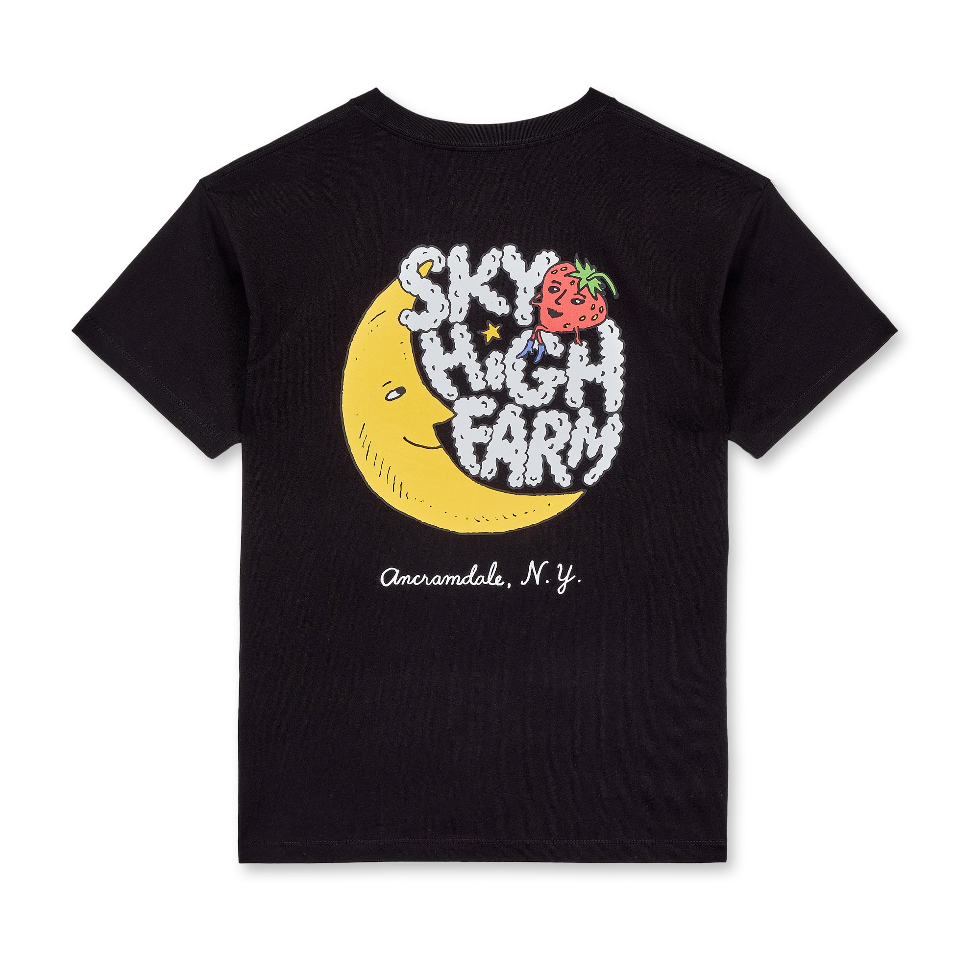 Sky High Farm - Main Logo T-Shirt - (Black) view 2
