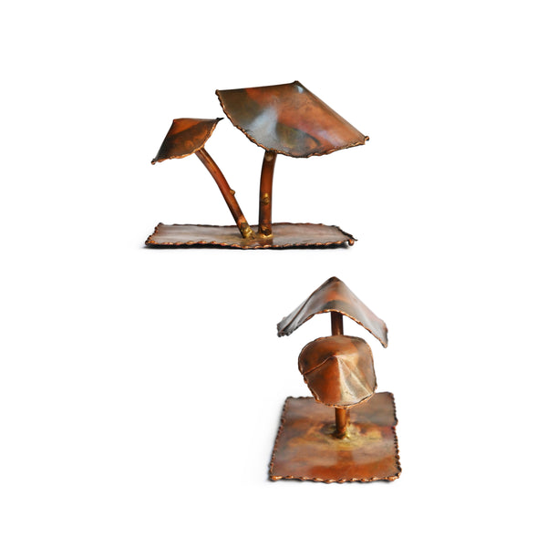 Edward Bess - "Shrooms"